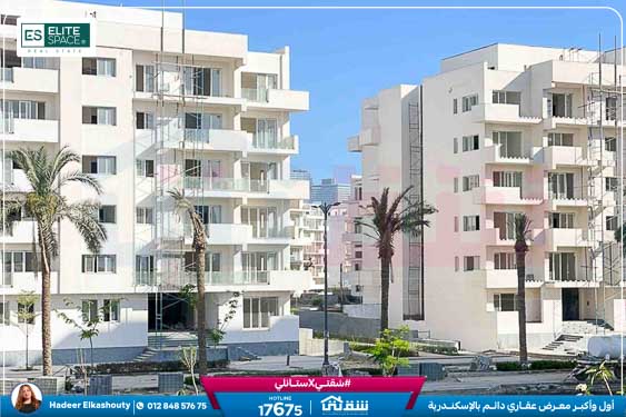 WhatsApp Image 2026-03-07 at 3.18.25 PM