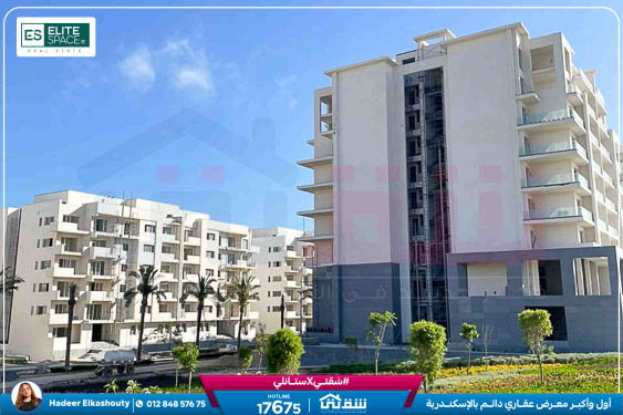 WhatsApp Image 2026-03-07 at 3.18.26 PM (1)