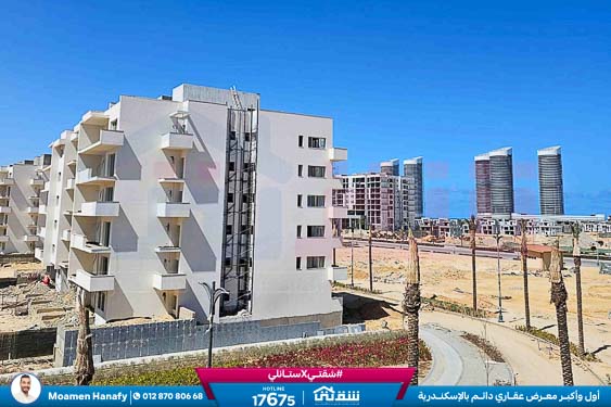 WhatsApp Image 2026-03-07 at 3.19.15 PM (1)