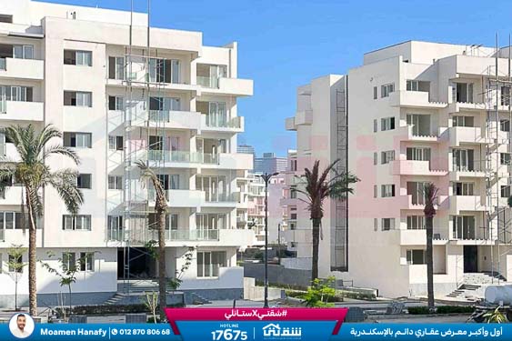 WhatsApp Image 2026-03-07 at 3.19.16 PM (3)