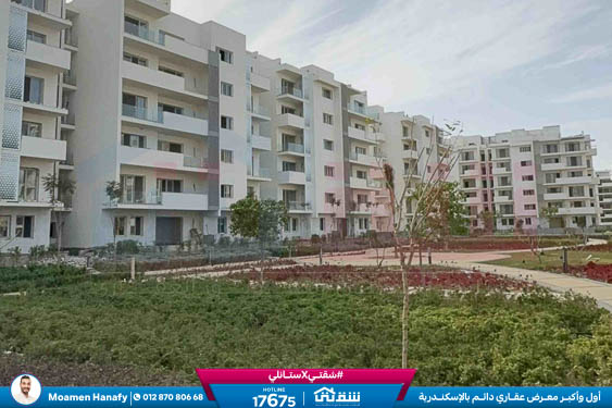 WhatsApp Image 2026-03-07 at 3.19.17 PM (1)