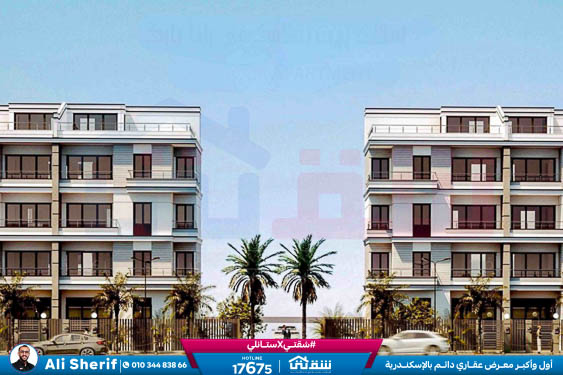 WhatsApp Image 2026-03-08 at 11.33.55 AM (1)