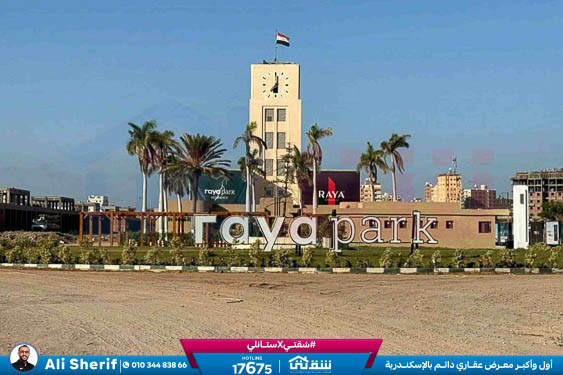 WhatsApp Image 2026-03-08 at 11.33.55 AM