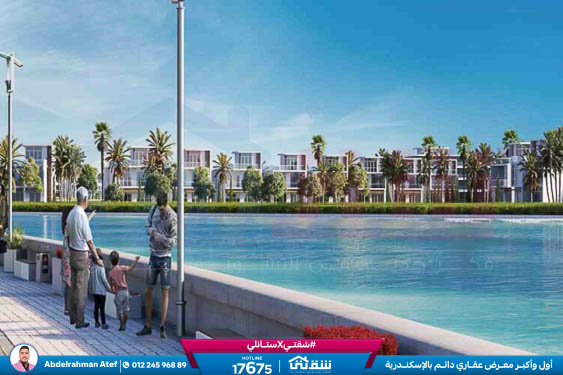 WhatsApp Image 2026-03-08 at 12.57.24 AM (2)