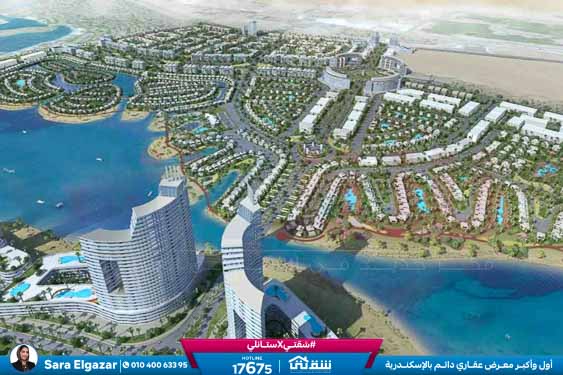 WhatsApp Image 2026-03-08 at 12.57.24 AM