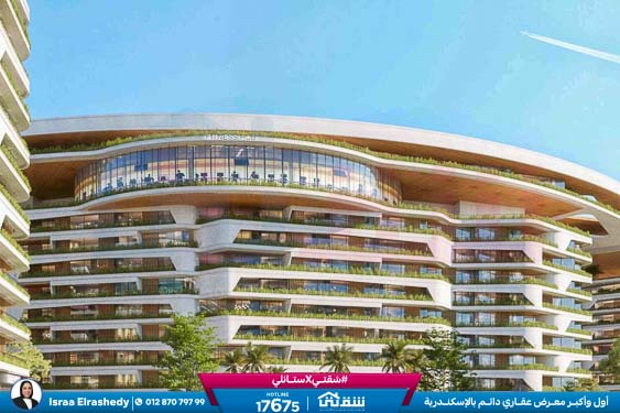 WhatsApp Image 2026-03-09 at 11.16.36 AM (1)