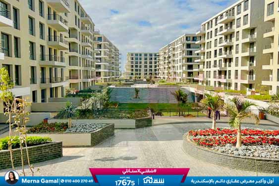 WhatsApp Image 2026-03-09 at 2.52.59 PM