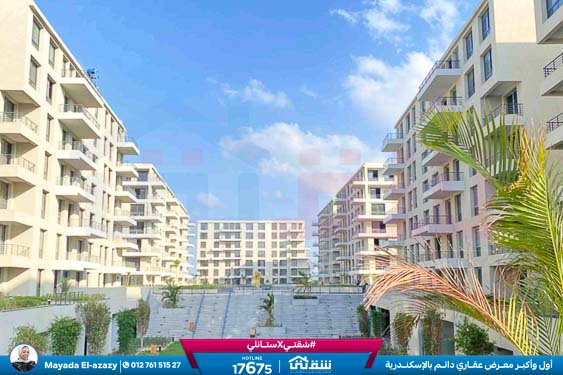 WhatsApp Image 2026-03-09 at 2.54.02 PM