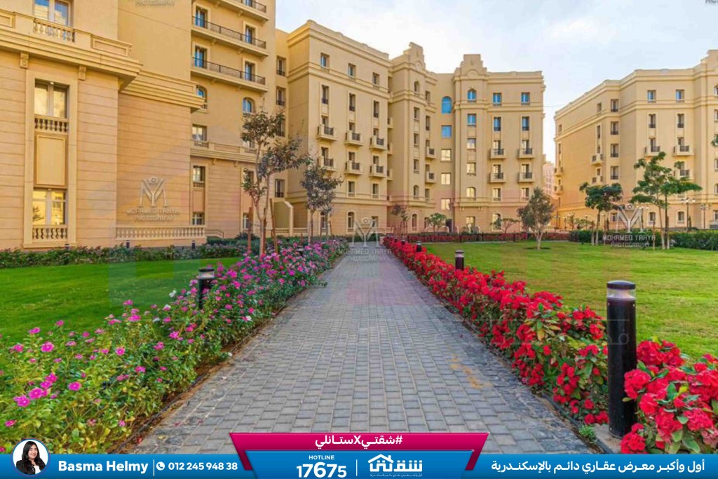 WhatsApp Image 2026-03-11 at 3.57.36 PM