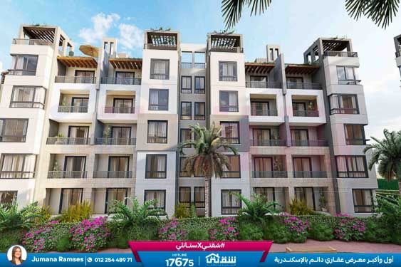 WhatsApp Image 2026-03-12 at 2.09.48 PM (2)