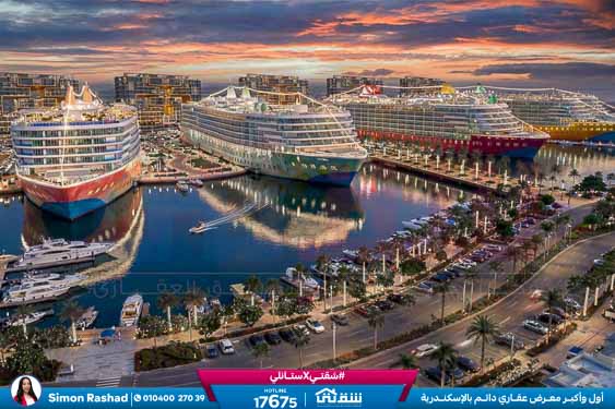 WhatsApp Image 2026-03-12 at 3.36.00 PM