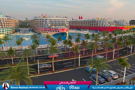 WhatsApp Image 2026-03-12 at 3.36.03 PM (2)