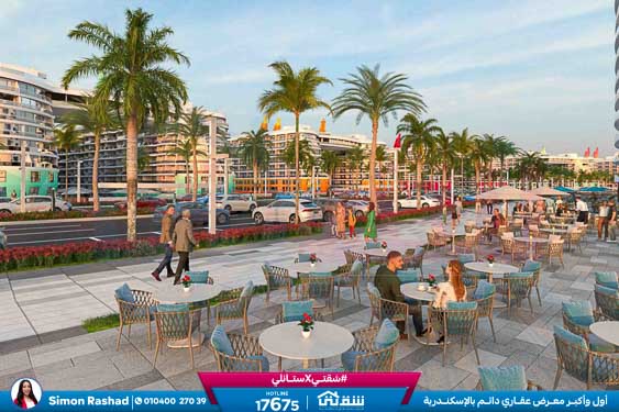 WhatsApp Image 2026-03-12 at 3.36.03 PM