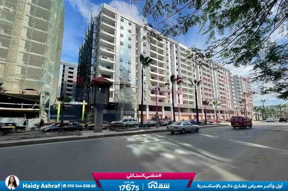 WhatsApp Image 2026-03-12 at 3.45.26 PM (1)