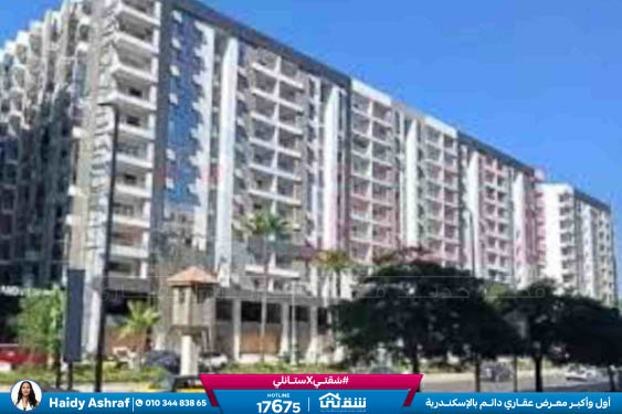 WhatsApp Image 2026-03-12 at 3.45.28 PM