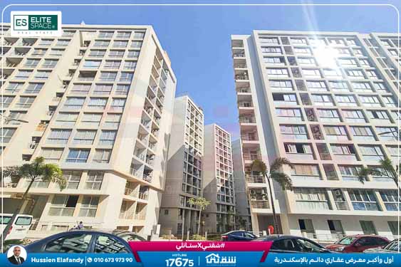 WhatsApp Image 2026-03-15 at 12.36.14 AM (1)