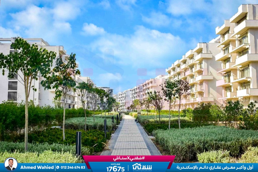 WhatsApp Image 2026-03-15 at 12.47.38 PM