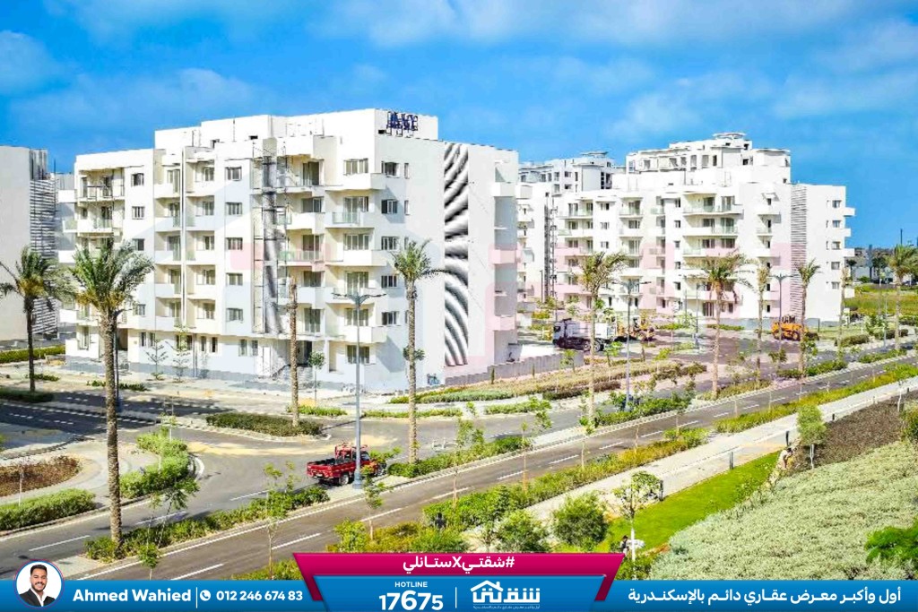 WhatsApp Image 2026-03-15 at 12.47.45 PM