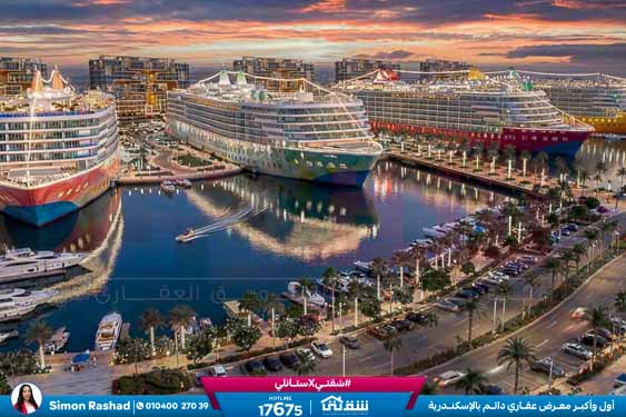 WhatsApp Image 2026-03-15 at 3.56.29 PM