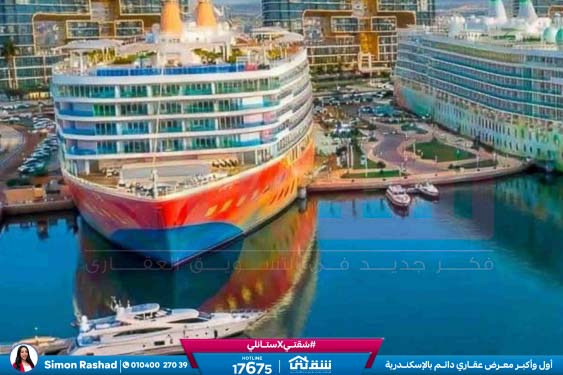 WhatsApp Image 2026-03-15 at 3.56.30 PM (1)