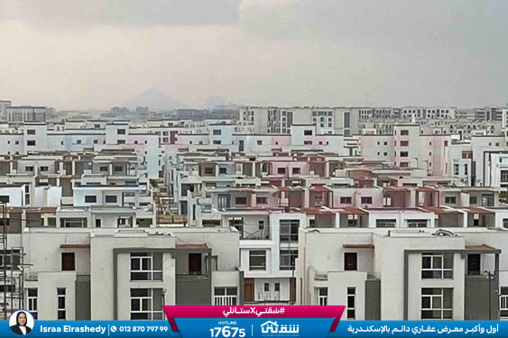 WhatsApp Image 2026-03-16 at 12.33.37 PM