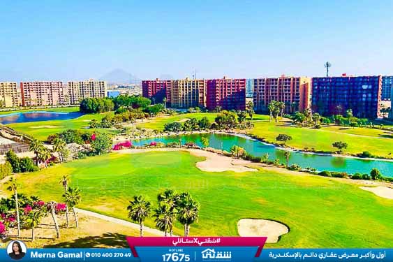 WhatsApp Image 2026-03-17 at 1.07.47 PM