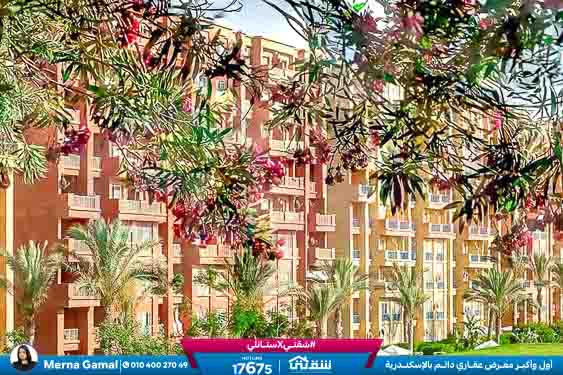 WhatsApp Image 2026-03-17 at 1.07.48 PM