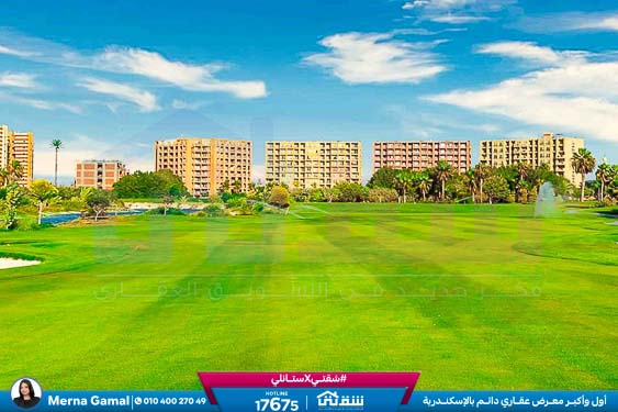 WhatsApp Image 2026-03-17 at 1.07.49 PM