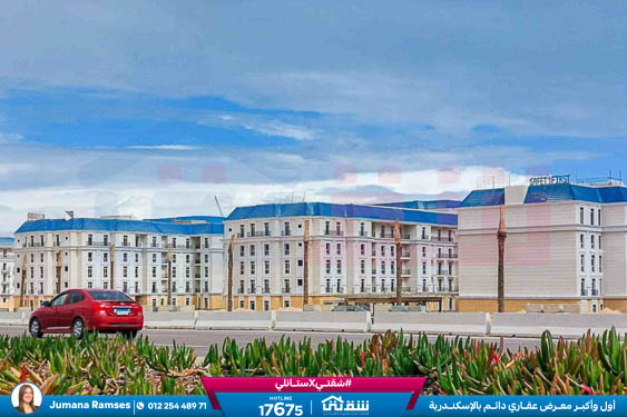 WhatsApp Image 2026-03-17 at 1.20.47 PM