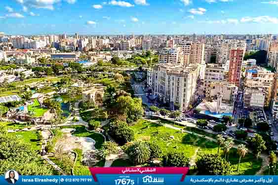 WhatsApp Image 2026-03-17 at 1.52.22 PM (2)