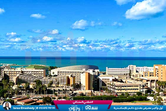 WhatsApp Image 2026-03-17 at 1.52.22 PM