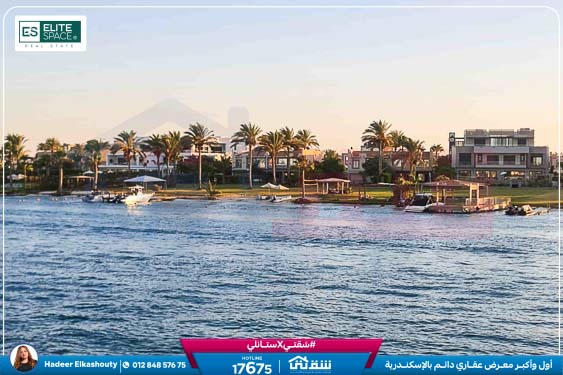 WhatsApp Image 2026-03-17 at 3.08.48 PM