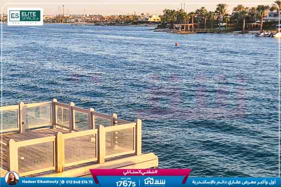 WhatsApp Image 2026-03-17 at 3.08.58 PM (1)