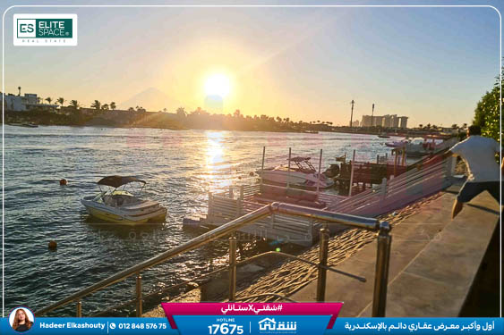 WhatsApp Image 2026-03-17 at 3.09.03 PM (1)