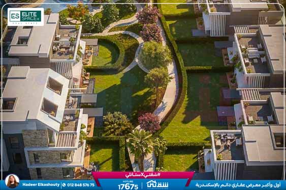 WhatsApp Image 2026-03-17 at 3.21.04 PM