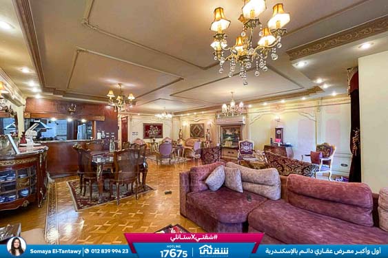 WhatsApp Image 2026-03-24 at 11.51.13 AM