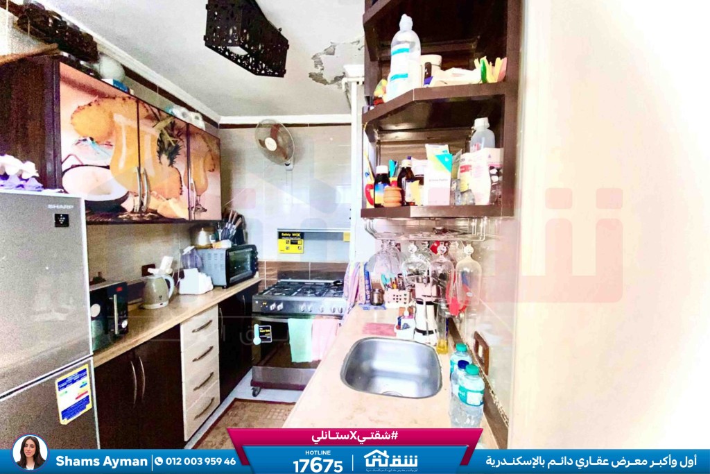 WhatsApp Image 2026-03-25 at 11.48.11 AM