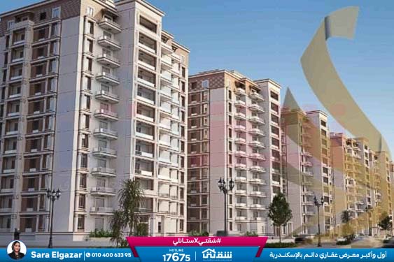 WhatsApp Image 2026-03-28 at 4.44.49 PM (1)