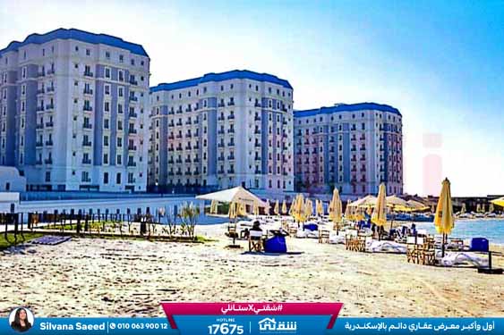 صور لاتينى-1