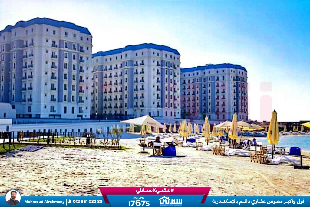 صور لاتينى-1