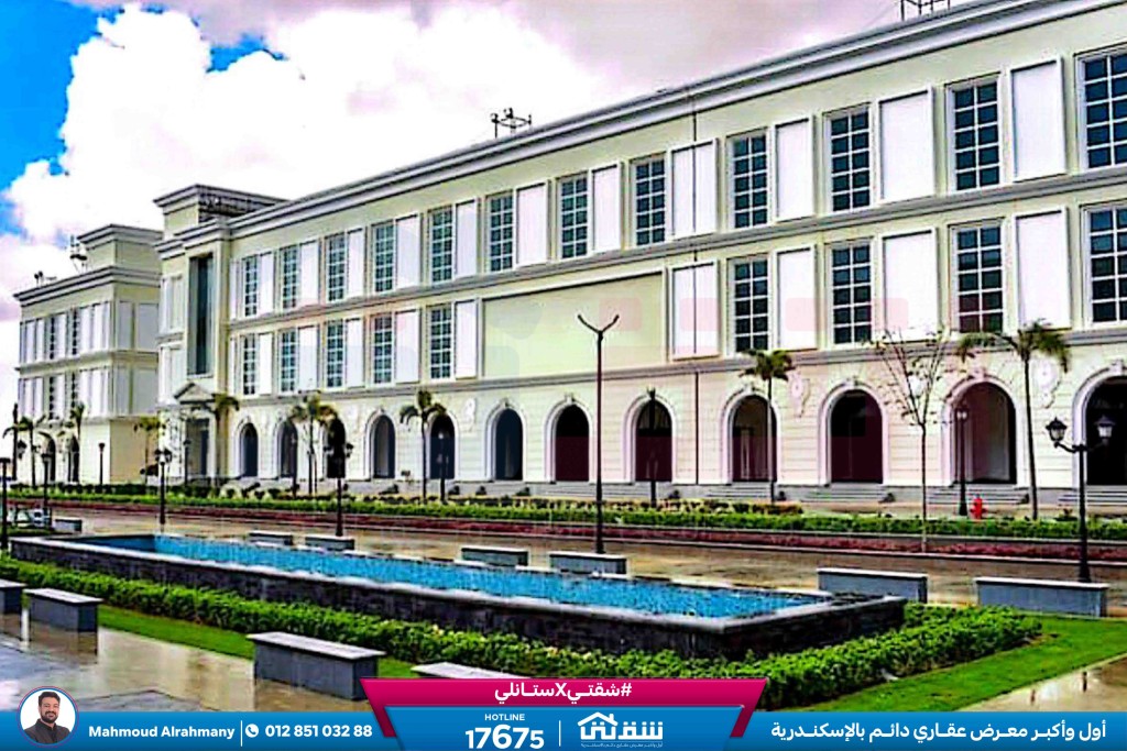 صور لاتينى-2