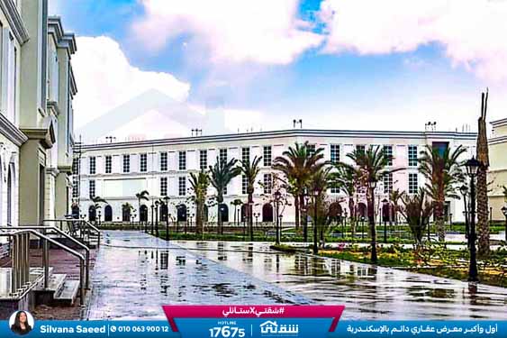 صور لاتينى-3