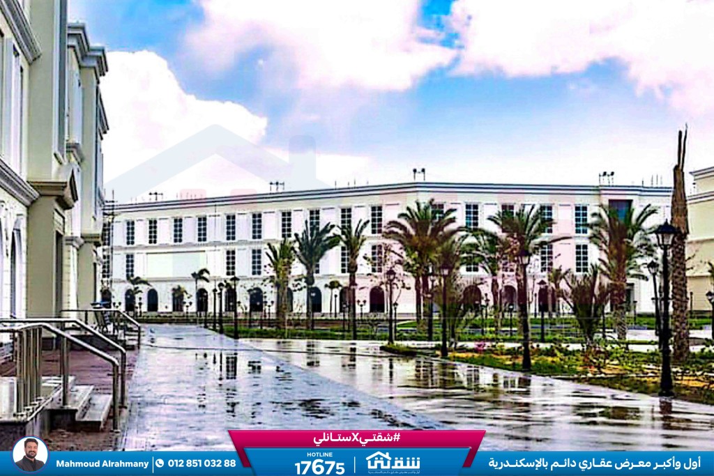 صور لاتينى-3