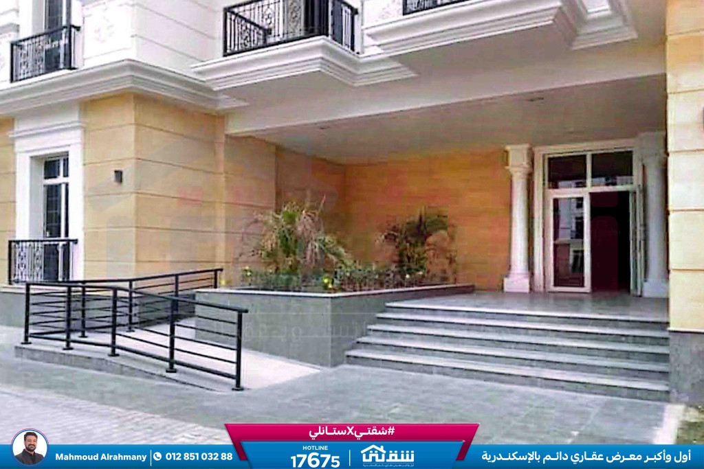 صور لاتينى-4