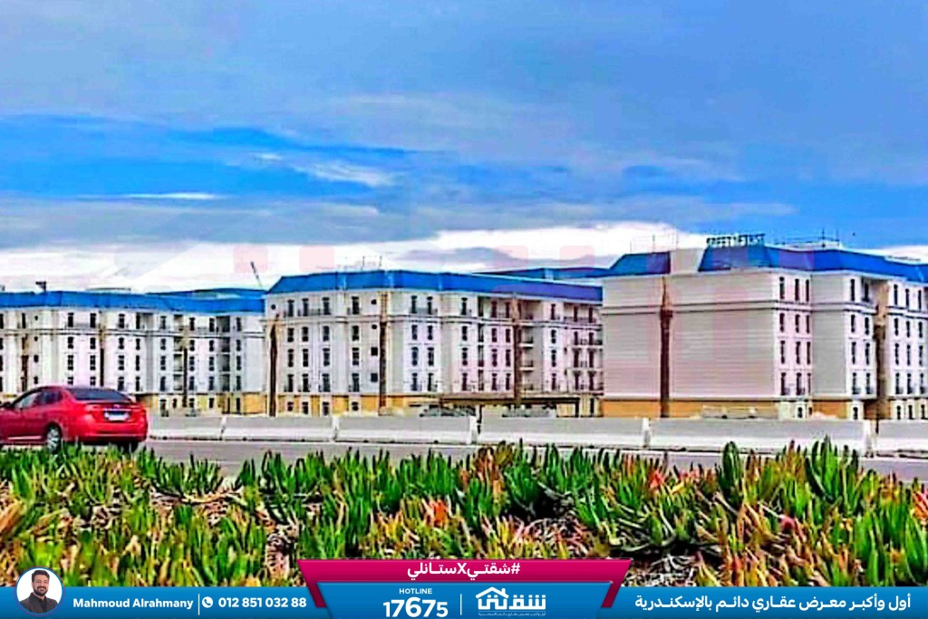 صور لاتينى-5