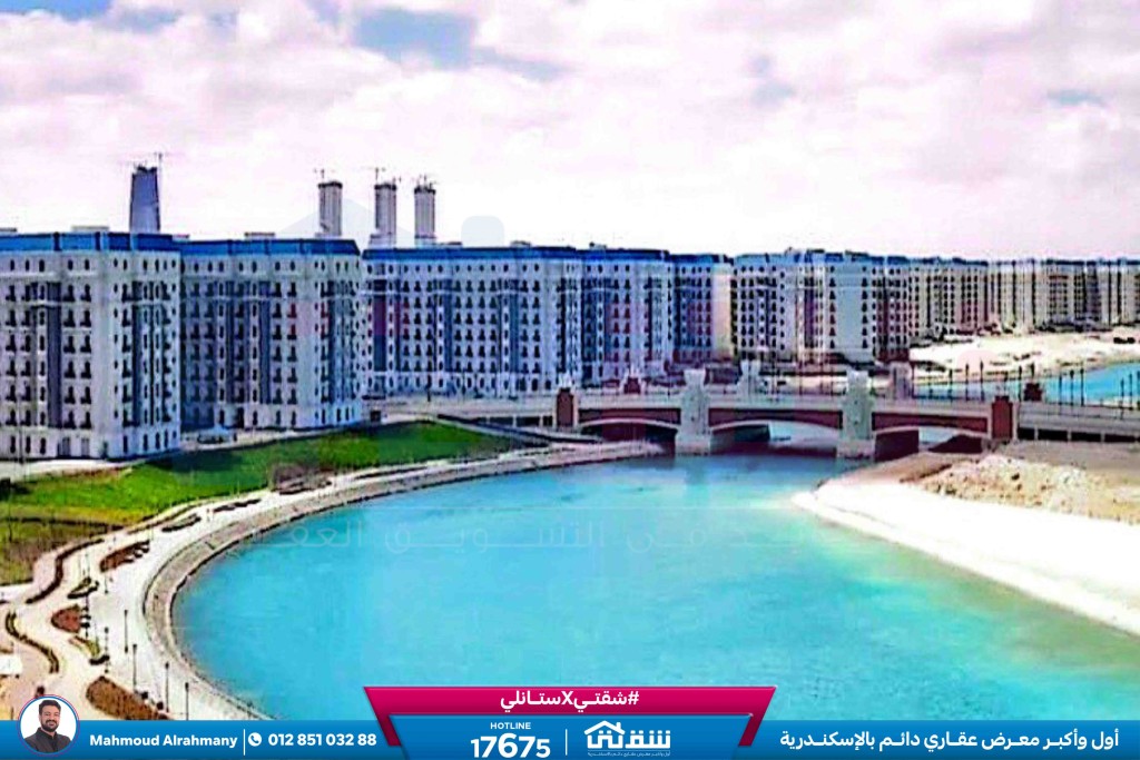 صور لاتينى-6