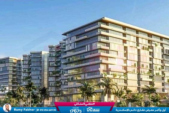 457143261_936641858497717_4190734054235641365_n