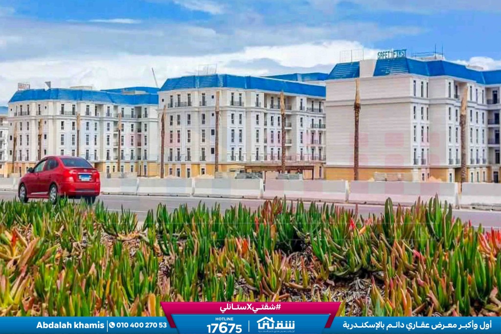 Latin City Live Photos-11