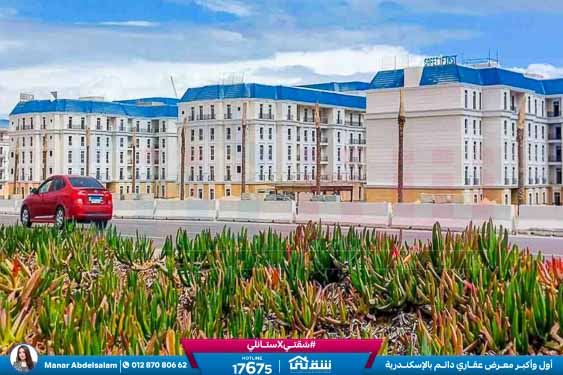 Latin City Live Photos-11