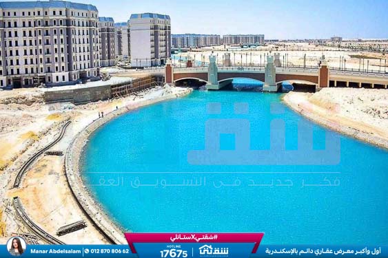 Latin City Live Photos-17